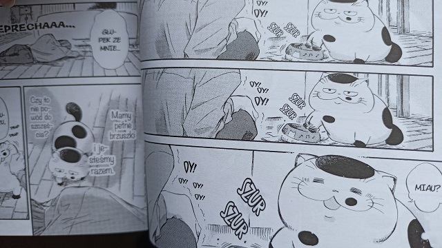 wygląd Fukumaru z mangi Starszy pan i kot