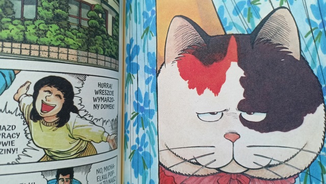 kolorowe strony mangi o kocie 